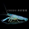 أيقونة Chudu 养虾管理