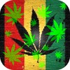 Icono de Marijuana Live Wallpaper