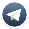 Telegram X 图标