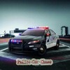Icon von PoliceCar Racer
