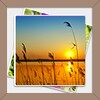 ไอคอน Gallery
