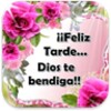 Buenas Tardes simgesi