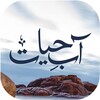 Icono de Aab e Hayat by Umera Ahmed