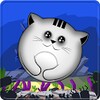 Ikon Tap the Cat