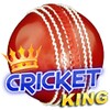 Icona di Cricket King
