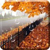 Ikon Maple Droplets Live Wallpaper