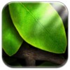 Tap Leaves Free Live Wallpaper simgesi