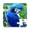 Jigsaw Puzzles - Puzzle Games आइकन