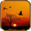 Sunset Live Wallpaper 图标