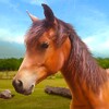 Ikon Run Horse Run