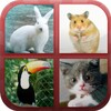 Икона Animals Quiz