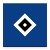 أيقونة HSV