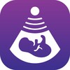 Icône Pregnant women's guide - Pregnancy guide
