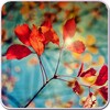 ไอคอน Galaxy S4 Leaf Live Wallpaper