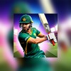 Icône Pakistan T20 Cricket League
