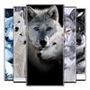 Icona di Wlof wallpaper