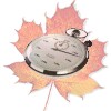 2. MapleXP आइकन