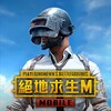PUBG MOBILE (TW) 图标