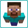 Icône Skins for Minecraft Wallpapers