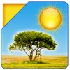 Biểu tượng Cute Weather Widget