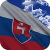 ไอคอน Slovakia Flag