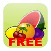 Fruit Slot Casino आइकन