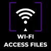 Icon von Wifi Server