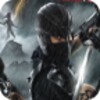 Икона Alien Ninja
