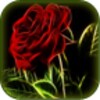 Ikon Flower live wallpapers