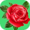 Biểu tượng Rose Wallpapers