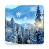 Icono de Winter Live Wallpaper