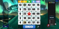 Absolute Bingo screenshot 1