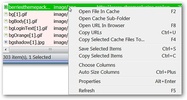 IECacheView screenshot 2