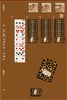 Ace_FREE screenshot 5