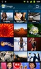 Qloud Media Free screenshot 4