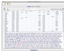 WebSite Auditor screenshot 1