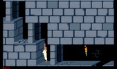 SDLPoP screenshot 11