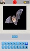 Animals Quiz screenshot 2