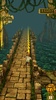 Temple Run screenshot 8