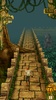 Temple Run screenshot 10
