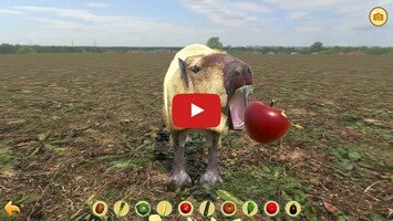 طريقة لعب الفيديو الخاصة ب Capybara Zoo1